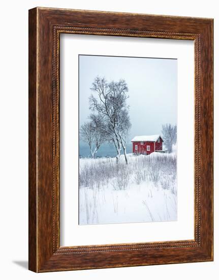 Alone in White-Philippe Sainte-Laudy-Framed Photographic Print