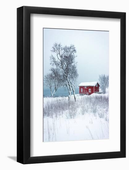 Alone in White-Philippe Sainte-Laudy-Framed Photographic Print