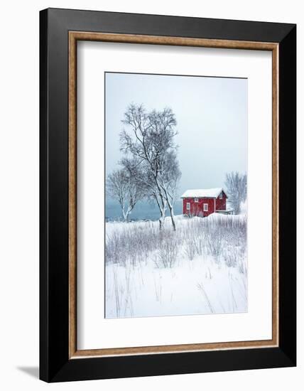 Alone in White-Philippe Sainte-Laudy-Framed Photographic Print