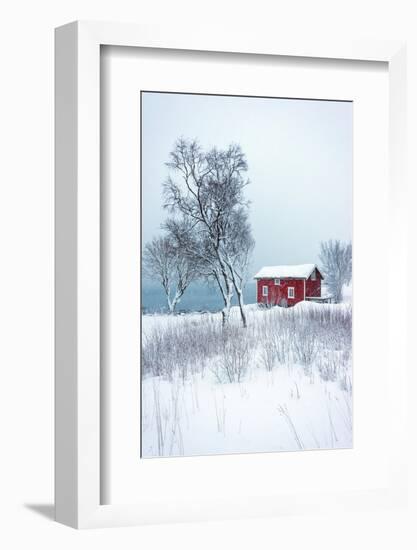 Alone in White-Philippe Sainte-Laudy-Framed Photographic Print