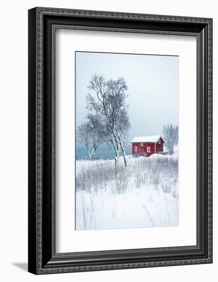 Alone in White-Philippe Sainte-Laudy-Framed Photographic Print