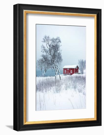 Alone in White-Philippe Sainte-Laudy-Framed Photographic Print