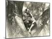 Premium Photographic Print