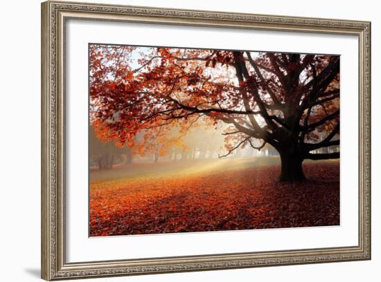 Alone Tree in Autumn Park-TTstudio-Framed Photographic Print