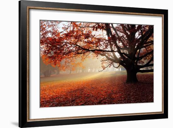Alone Tree in Autumn Park-TTstudio-Framed Photographic Print