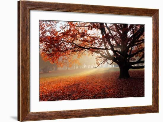 Alone Tree in Autumn Park-TTstudio-Framed Photographic Print