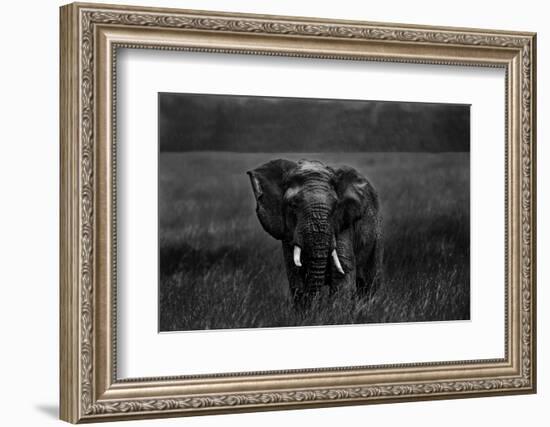 Alone under the rain-Massimo Mei-Framed Photographic Print