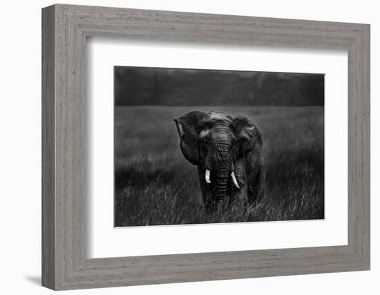 Alone under the rain-Massimo Mei-Framed Photographic Print