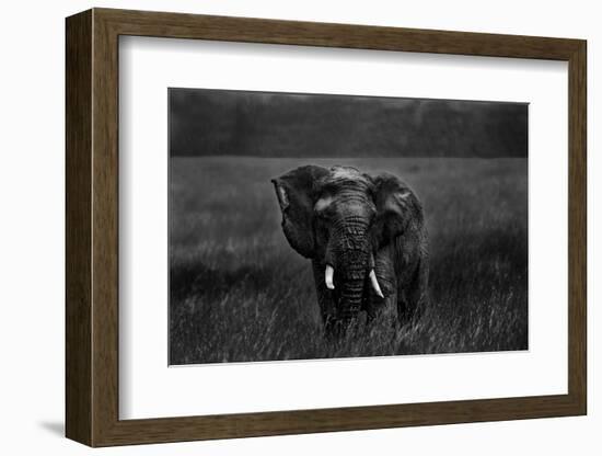 Alone under the rain-Massimo Mei-Framed Photographic Print