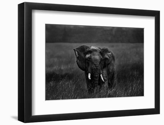 Alone under the rain-Massimo Mei-Framed Photographic Print