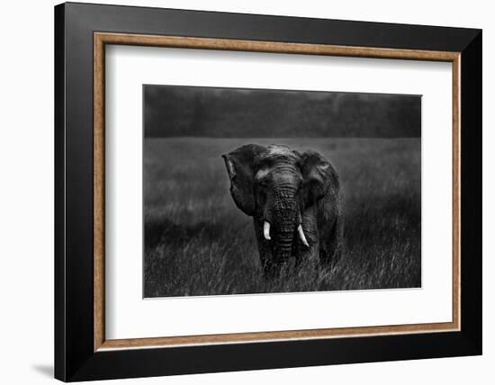 Alone under the rain-Massimo Mei-Framed Photographic Print