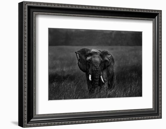 Alone under the rain-Massimo Mei-Framed Photographic Print