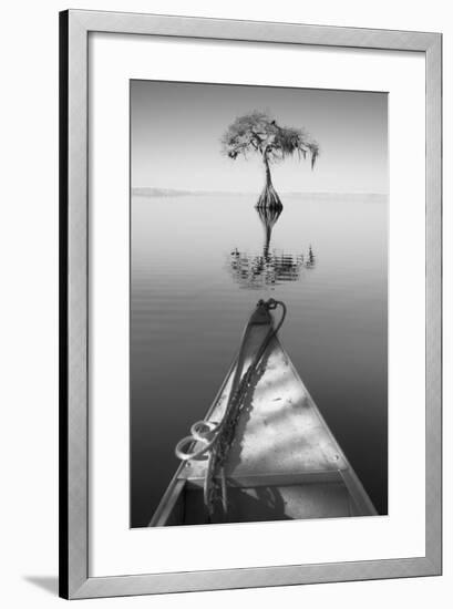 Alone with my Tree II-Moises Levy-Framed Photographic Print