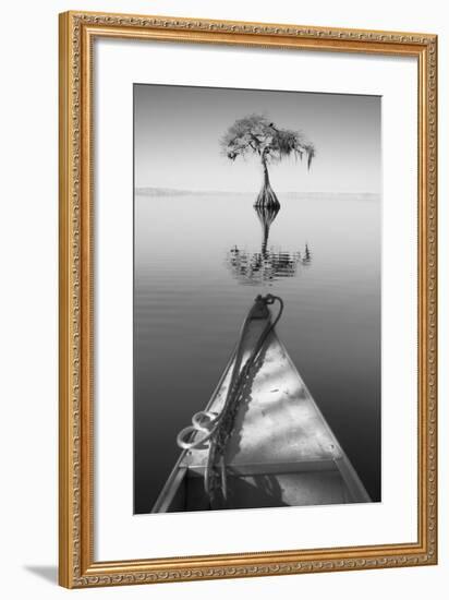 Alone with my Tree II-Moises Levy-Framed Photographic Print