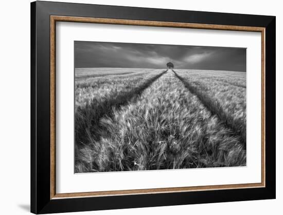 Alone-null-Framed Art Print