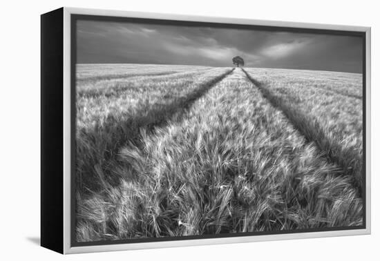 Alone-Piotr Krol (Bax)-Framed Premier Image Canvas