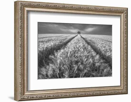 Alone-Piotr Krol (Bax)-Framed Photographic Print