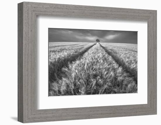 Alone-Piotr Krol (Bax)-Framed Photographic Print