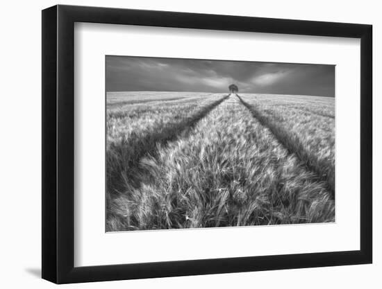 Alone-Piotr Krol (Bax)-Framed Photographic Print