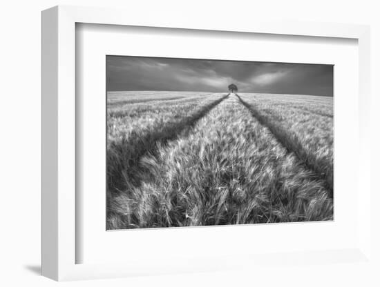 Alone-Piotr Krol (Bax)-Framed Photographic Print