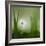 alone.........-Piet Haaksma-Framed Photographic Print