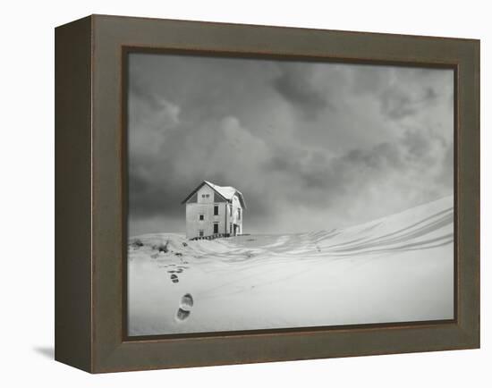 Alone-ValentinaPhotos-Framed Stretched Canvas