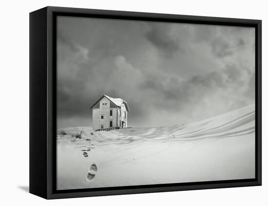 Alone-ValentinaPhotos-Framed Stretched Canvas