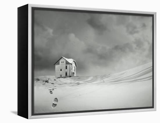 Alone-ValentinaPhotos-Framed Stretched Canvas