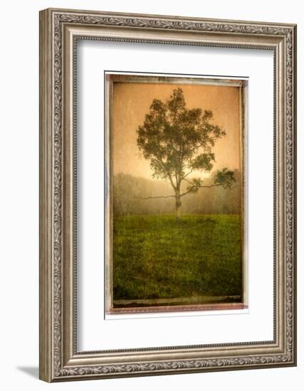 Aloneloop-Craig Satterlee-Framed Photographic Print