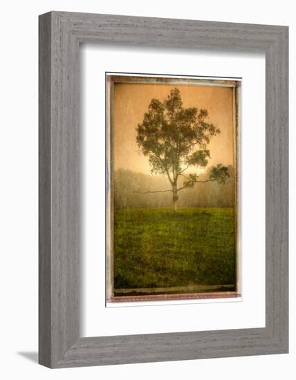 Aloneloop-Craig Satterlee-Framed Photographic Print