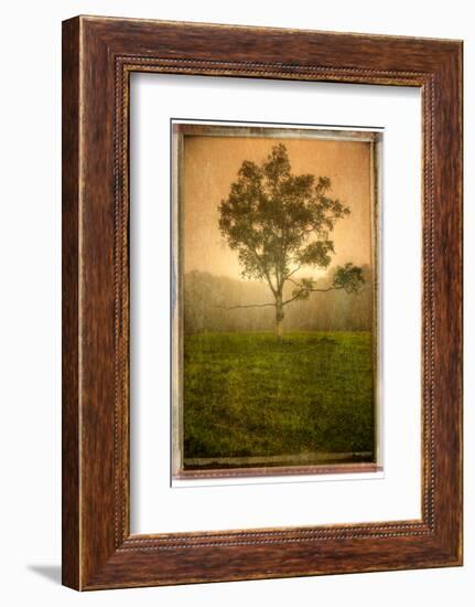 Aloneloop-Craig Satterlee-Framed Photographic Print