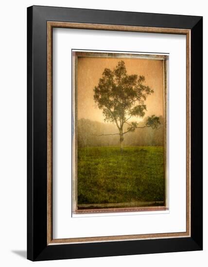 Aloneloop-Craig Satterlee-Framed Photographic Print