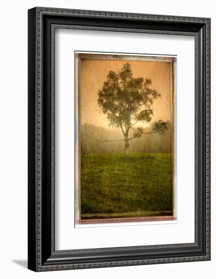 Aloneloop-Craig Satterlee-Framed Photographic Print