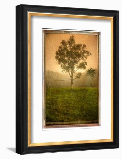 Aloneloop-Craig Satterlee-Framed Photographic Print