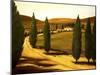 Along a Tuscan Road-Tim Howe-Mounted Giclee Print