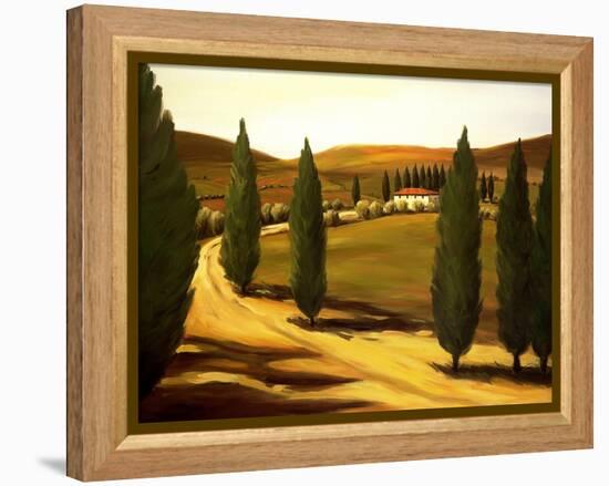 Along a Tuscan Road-Tim Howe-Framed Premier Image Canvas