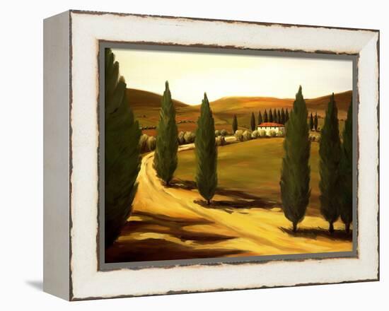 Along a Tuscan Road-Tim Howe-Framed Premier Image Canvas