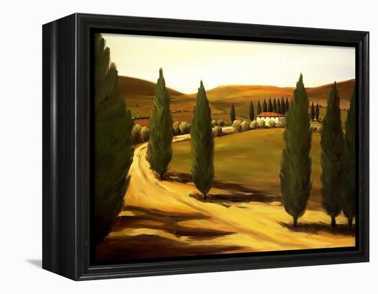 Along a Tuscan Road-Tim Howe-Framed Premier Image Canvas