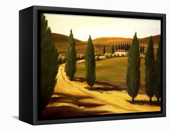 Along a Tuscan Road-Tim Howe-Framed Premier Image Canvas