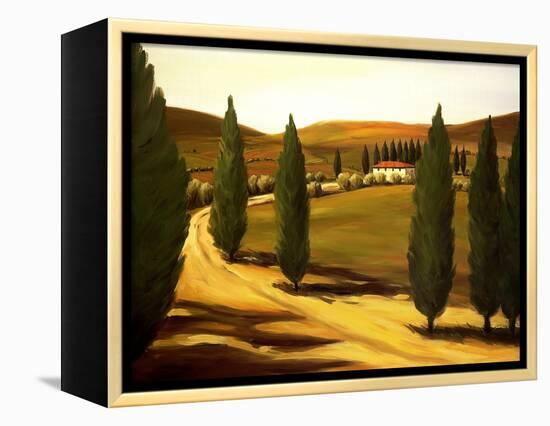 Along a Tuscan Road-Tim Howe-Framed Premier Image Canvas