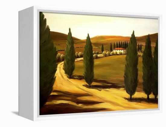 Along a Tuscan Road-Tim Howe-Framed Premier Image Canvas