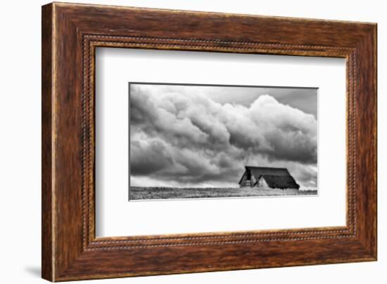 Along Grange Road-Trent Foltz-Framed Art Print