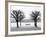 Along Lake Lucerne, Lucerne, Switzerland-Walter Bibikow-Framed Photographic Print