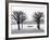 Along Lake Lucerne, Lucerne, Switzerland-Walter Bibikow-Framed Photographic Print