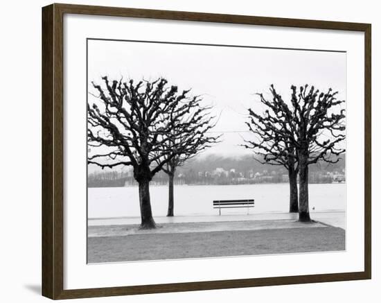 Along Lake Lucerne, Lucerne, Switzerland-Walter Bibikow-Framed Photographic Print
