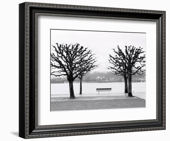 Along Lake Lucerne, Lucerne, Switzerland-Walter Bibikow-Framed Photographic Print