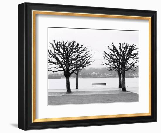 Along Lake Lucerne, Lucerne, Switzerland-Walter Bibikow-Framed Photographic Print