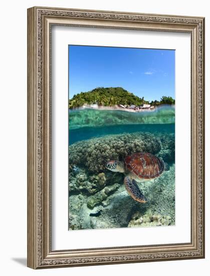 Along Shore-null-Framed Art Print