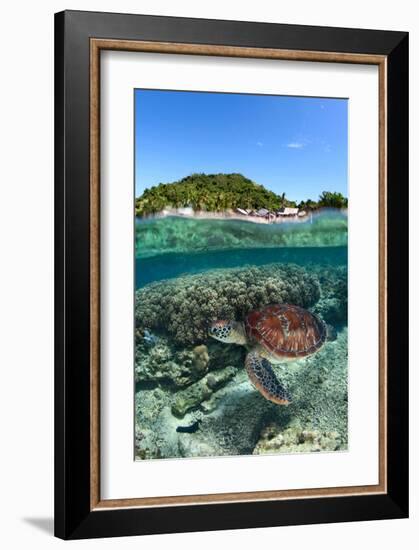 Along Shore-null-Framed Art Print