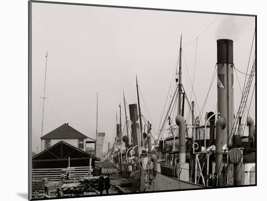Along the Docks, Mobile, Ala.-null-Mounted Photo